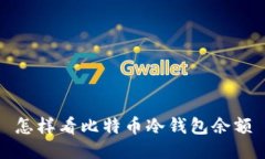 怎样看比特币冷钱包余额